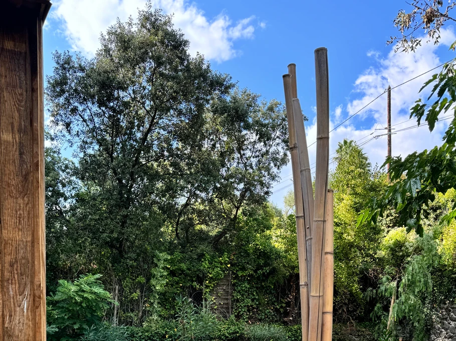 Photo n° 3 de la location