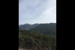 Image n° 4 de la location