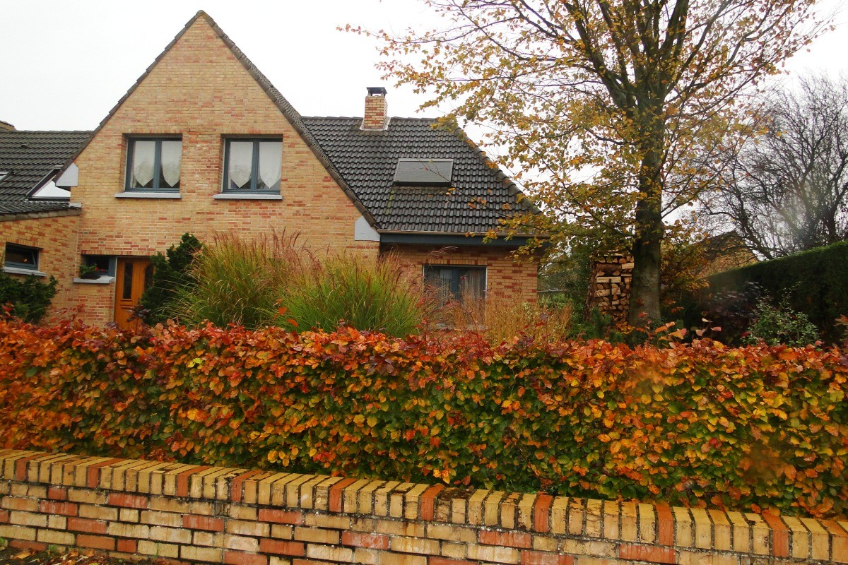Photo n° 8 of the location