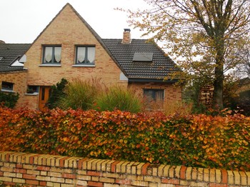 Photo n° 8 of the location