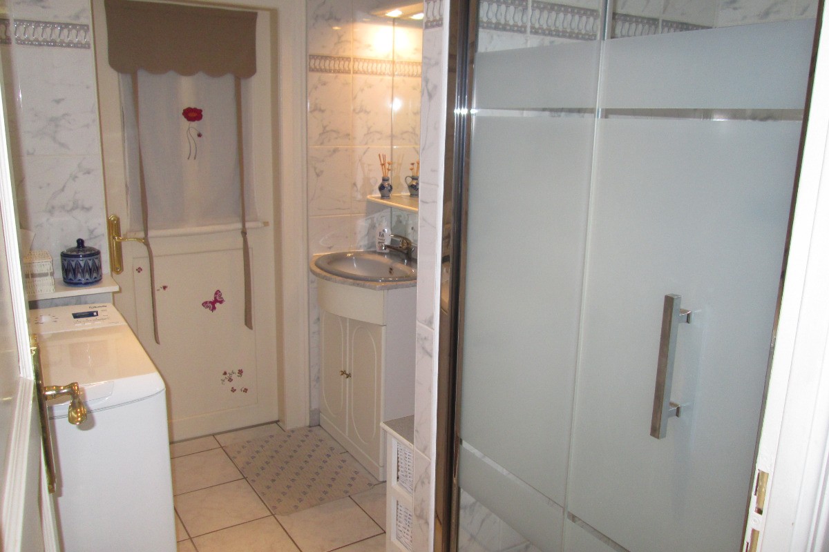 SALLE DE BAIN /DOUCHE /LAVE-LINGE
