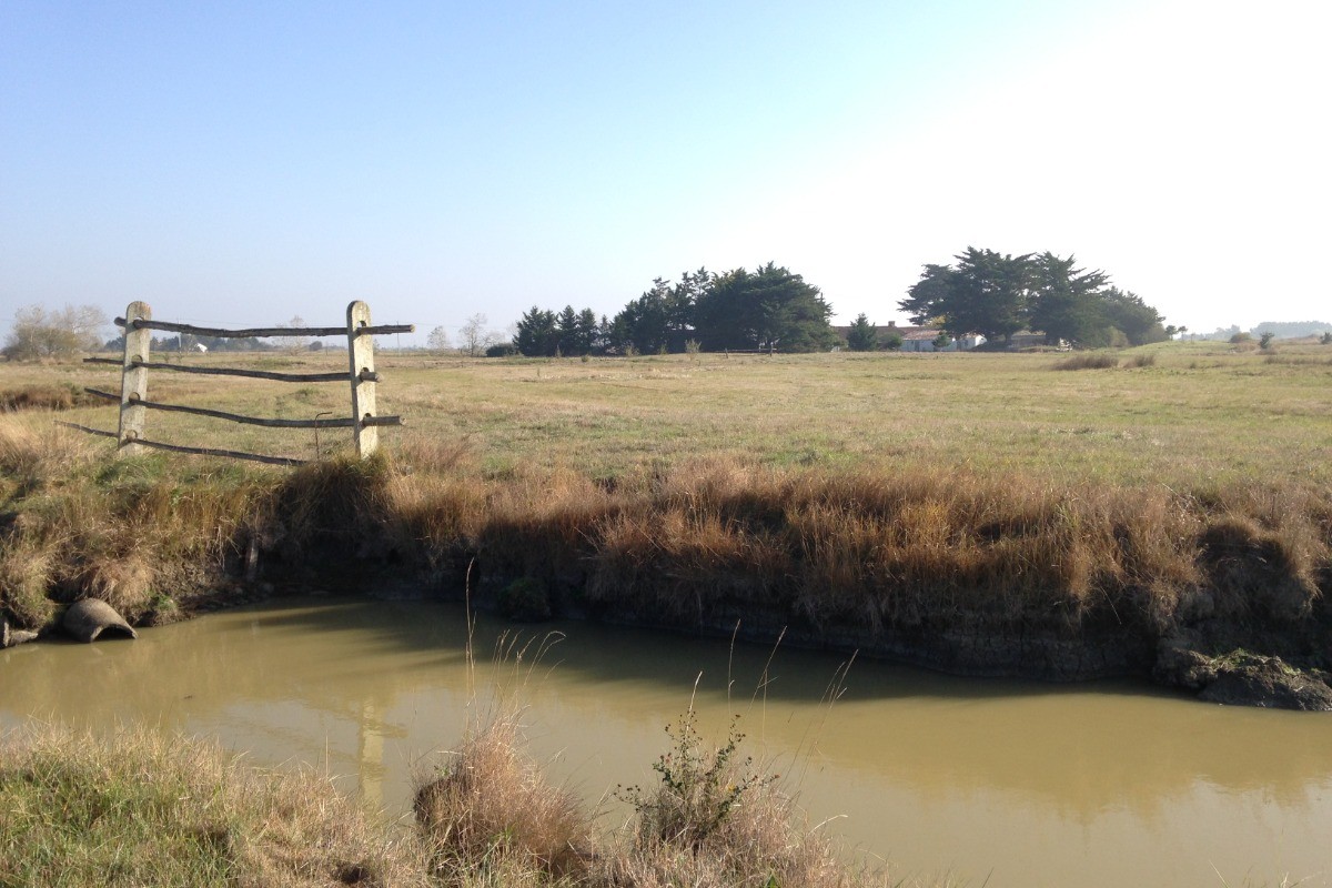 Photo n° 14 de la location