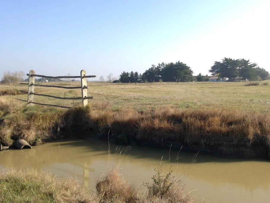 Photo n° 14 de la location