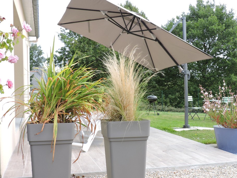 Photo n° 3 de la location