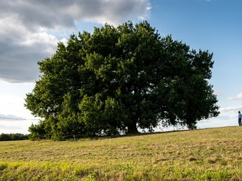 Photo n° 16 de la location