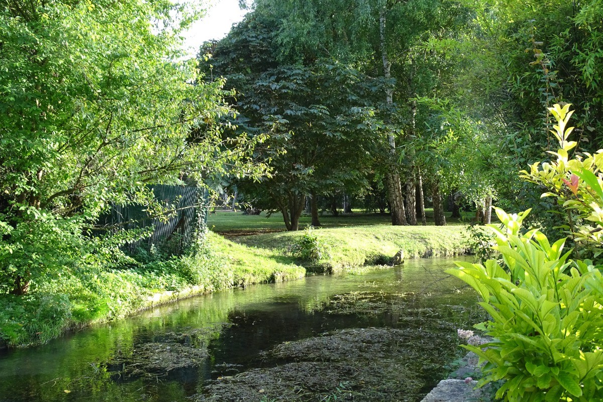 Photo n° 7 de la location