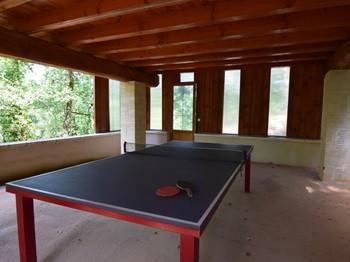Table de ping-pong