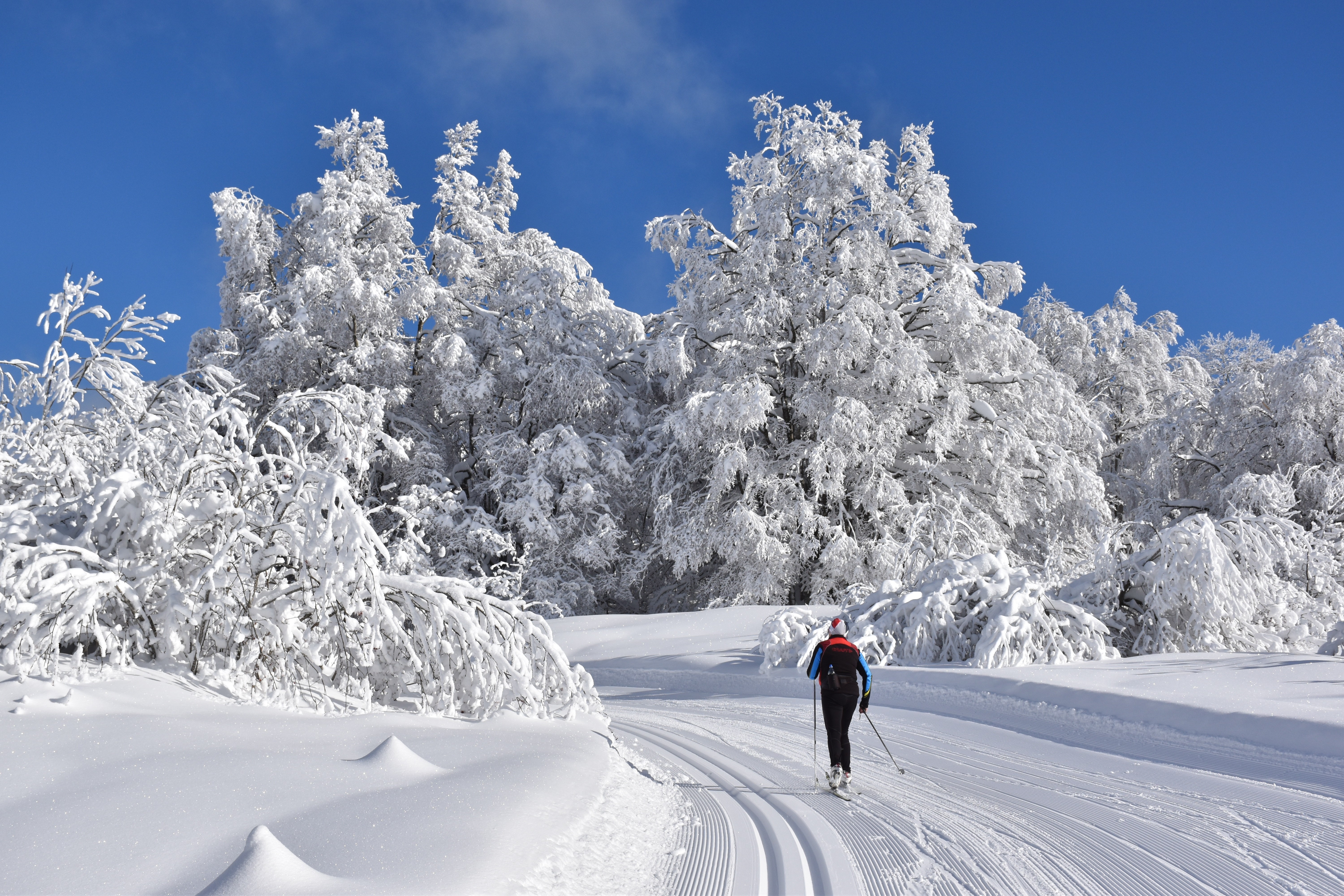 Grand Colombier in winter