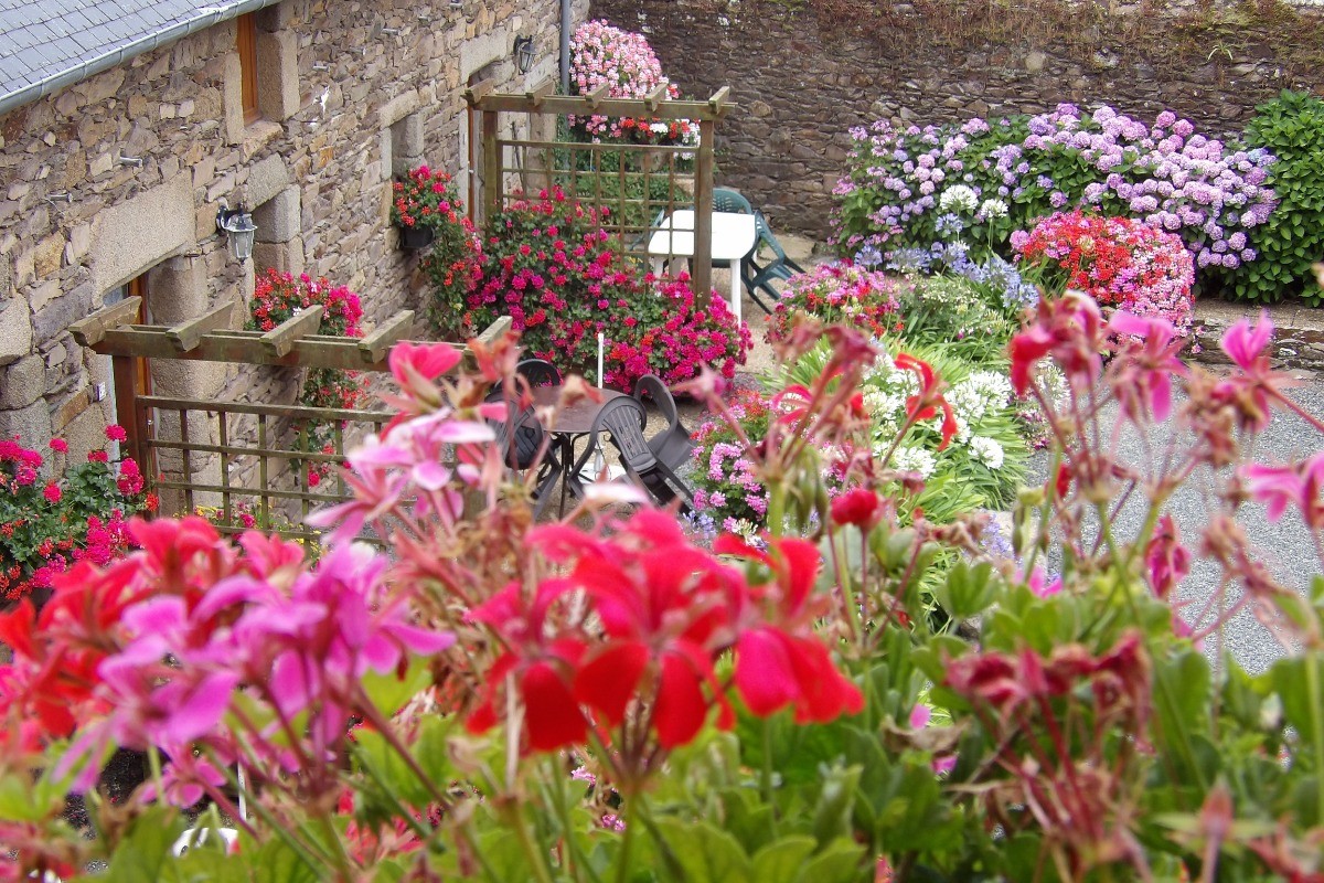 Image n° 2 de la location
