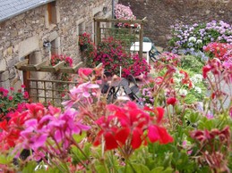 Image n° 2 de la location