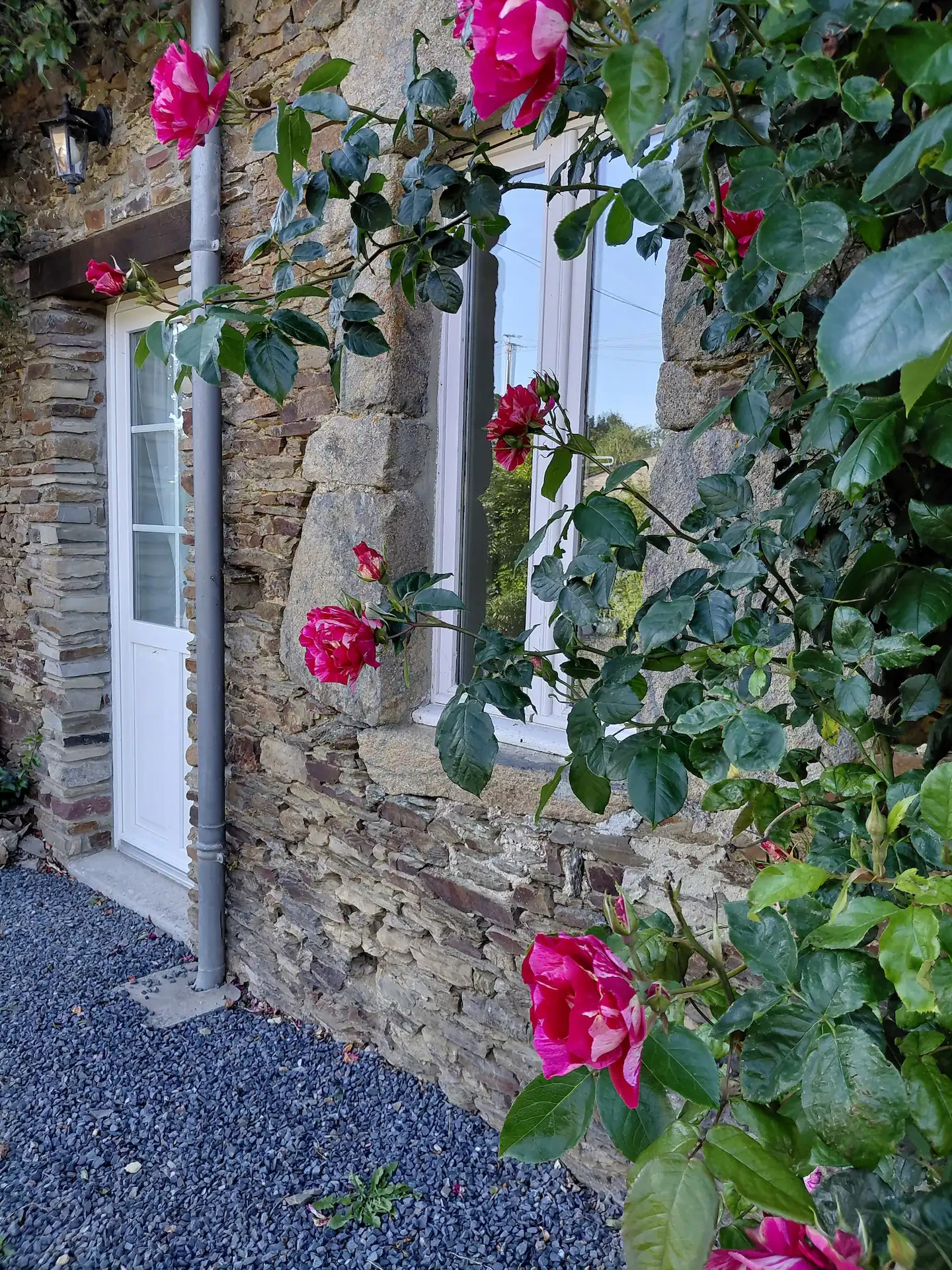 Photo n° 10 of the location