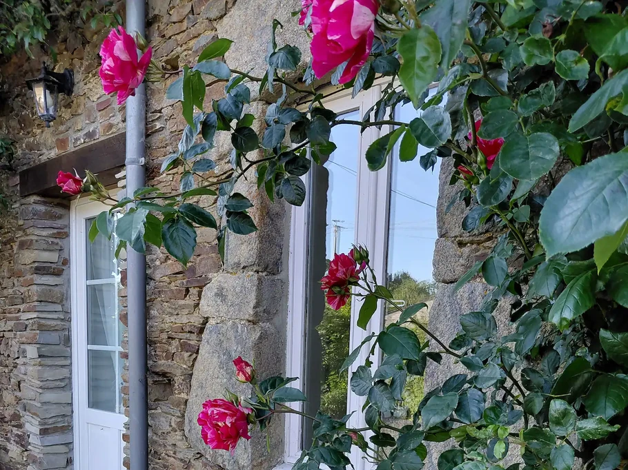 Photo n° 10 of the location