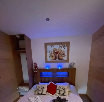 love room - ecureuil - nature cottage vosges