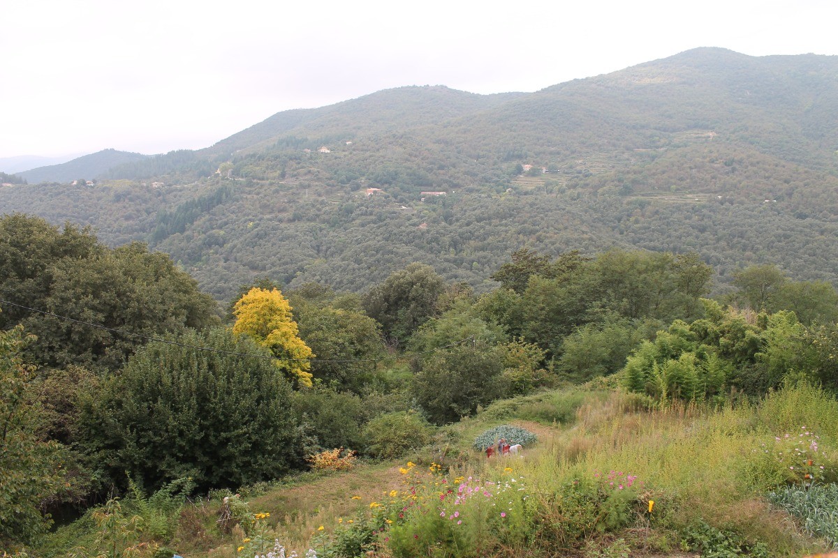 Photo n° 6 de la location