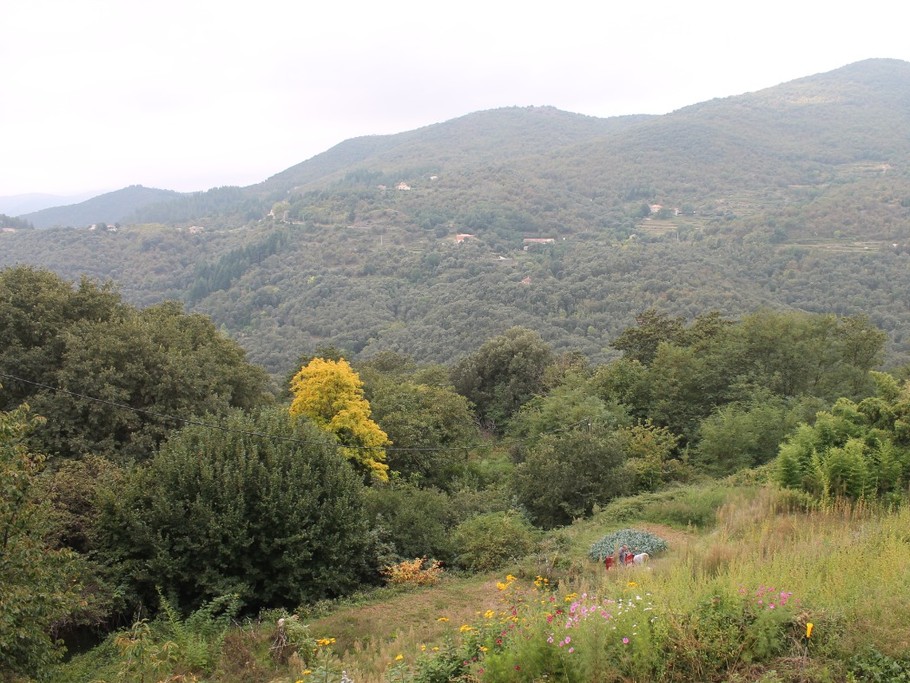 Photo n° 6 de la location