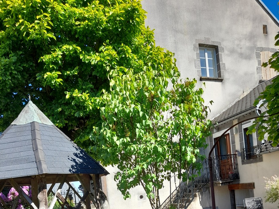 Photo n° 14 de la location