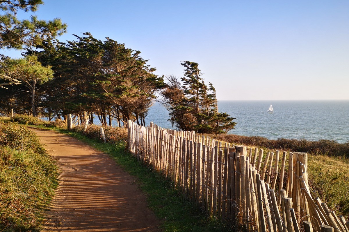 Photo n° 15 de la location
