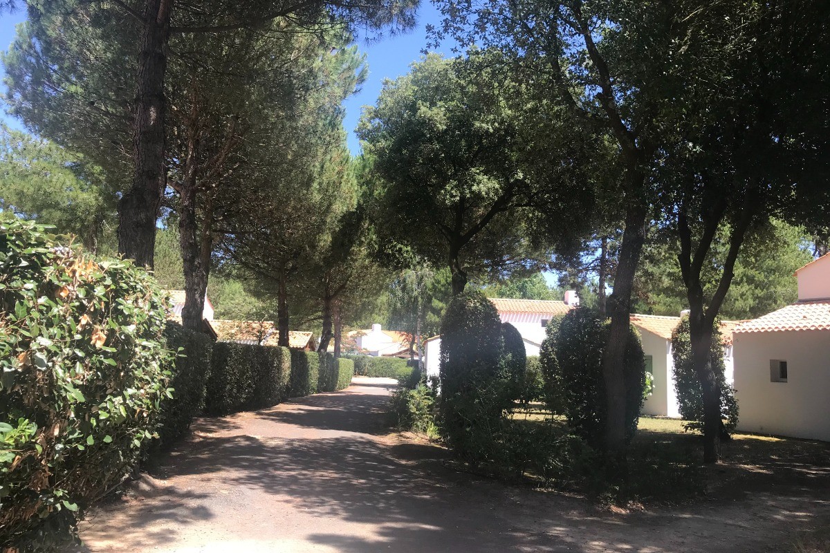 Photo n° 8 de la location