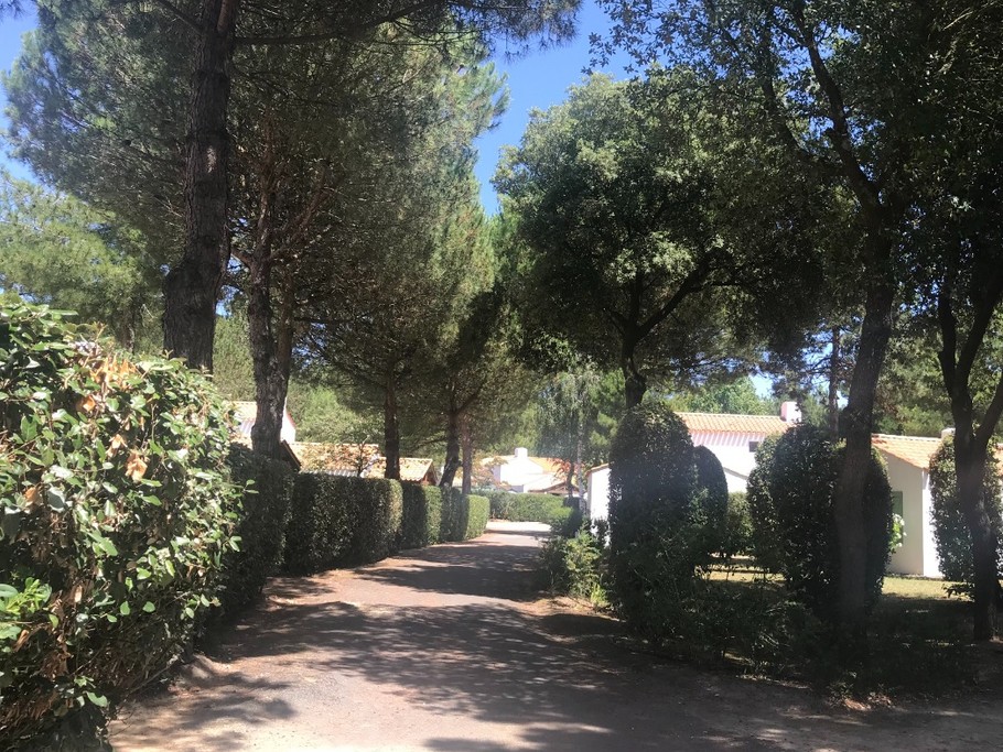 Photo n° 8 de la location