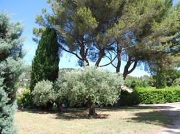 Image n° 2 de la location