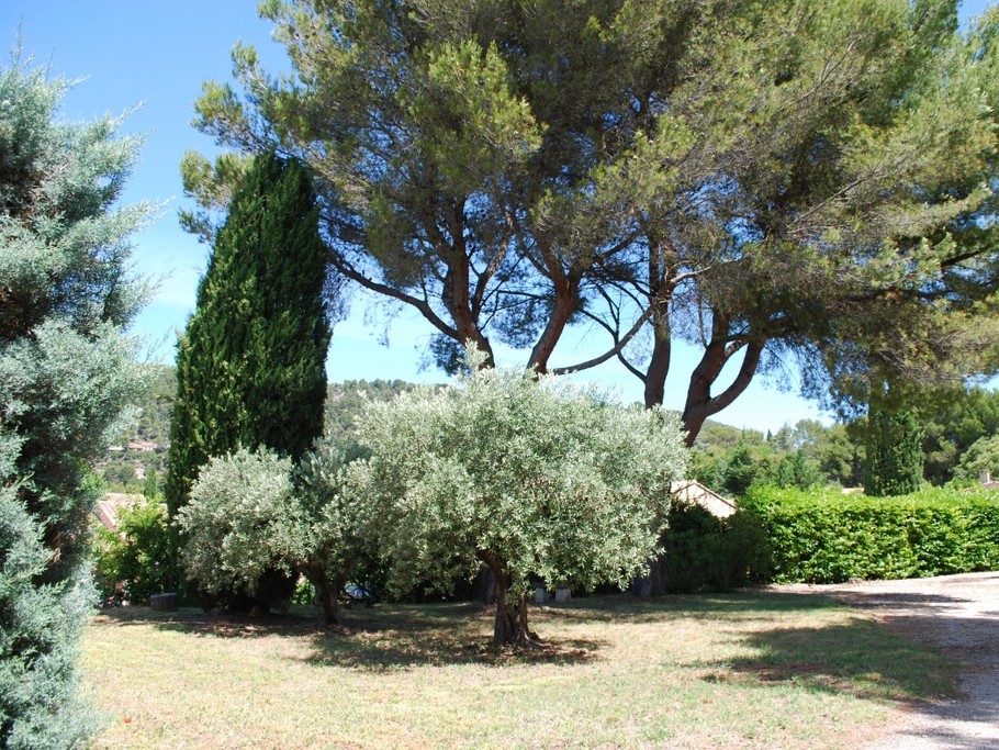 Photo n° 2 de la location