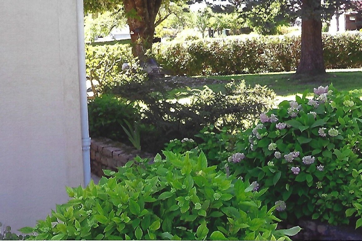 Jardin fleuri