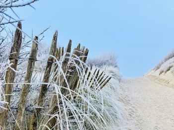 Photo n° 8 of the location