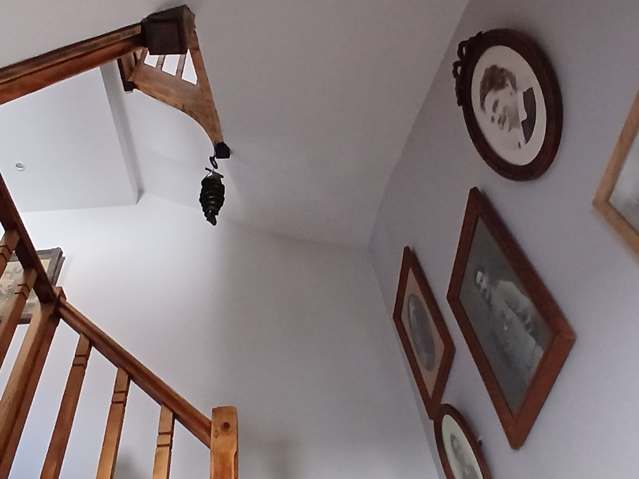 Une Pause en ville (Bed and breakfast), Clermont-Ferrand - Puy de Dôme - Auvergne : The magnificent staircase leading to the bedrooms