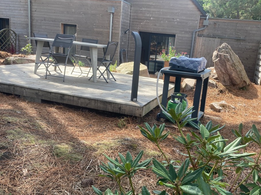 Au cœur de la pinède