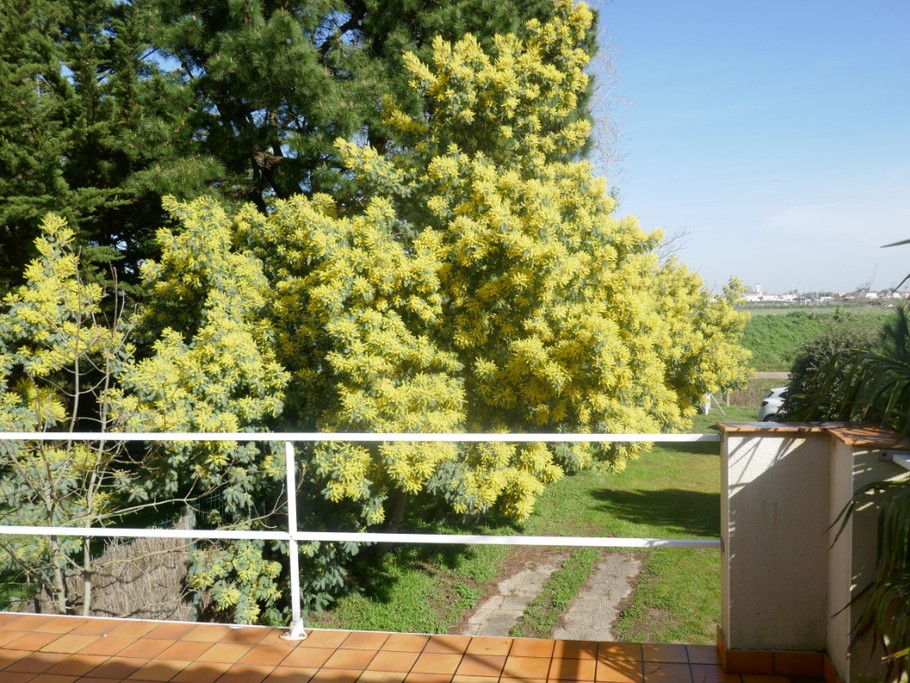 Photo n° 13 of the location