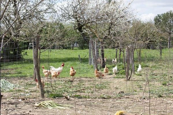 Photo n° 15 de la location