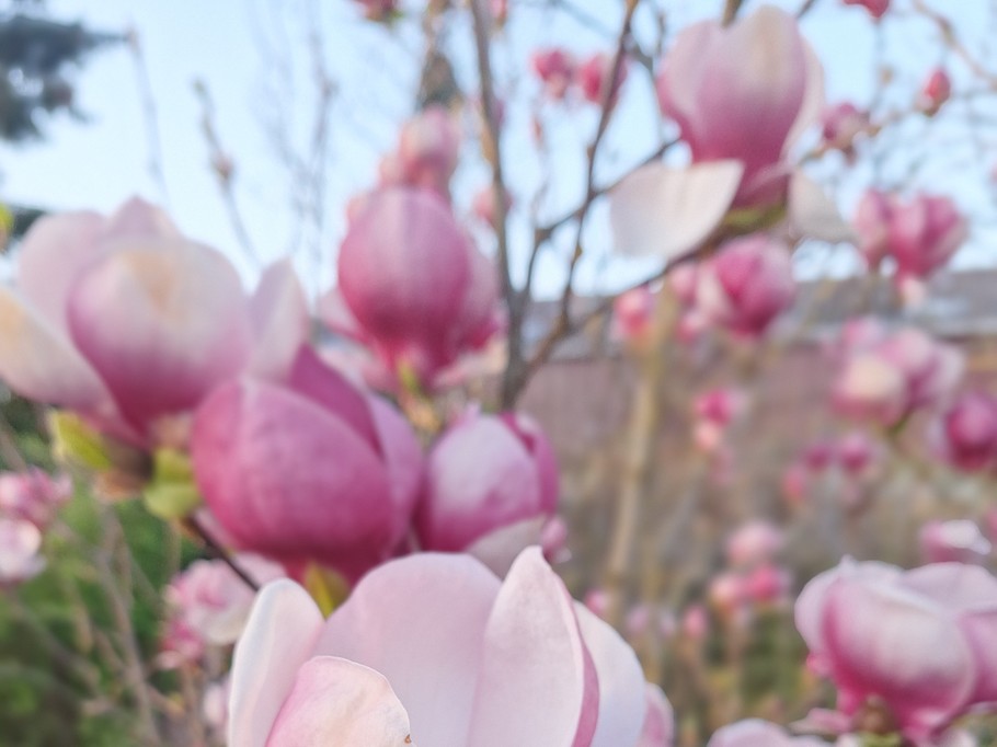 Photo n° 7 de la location