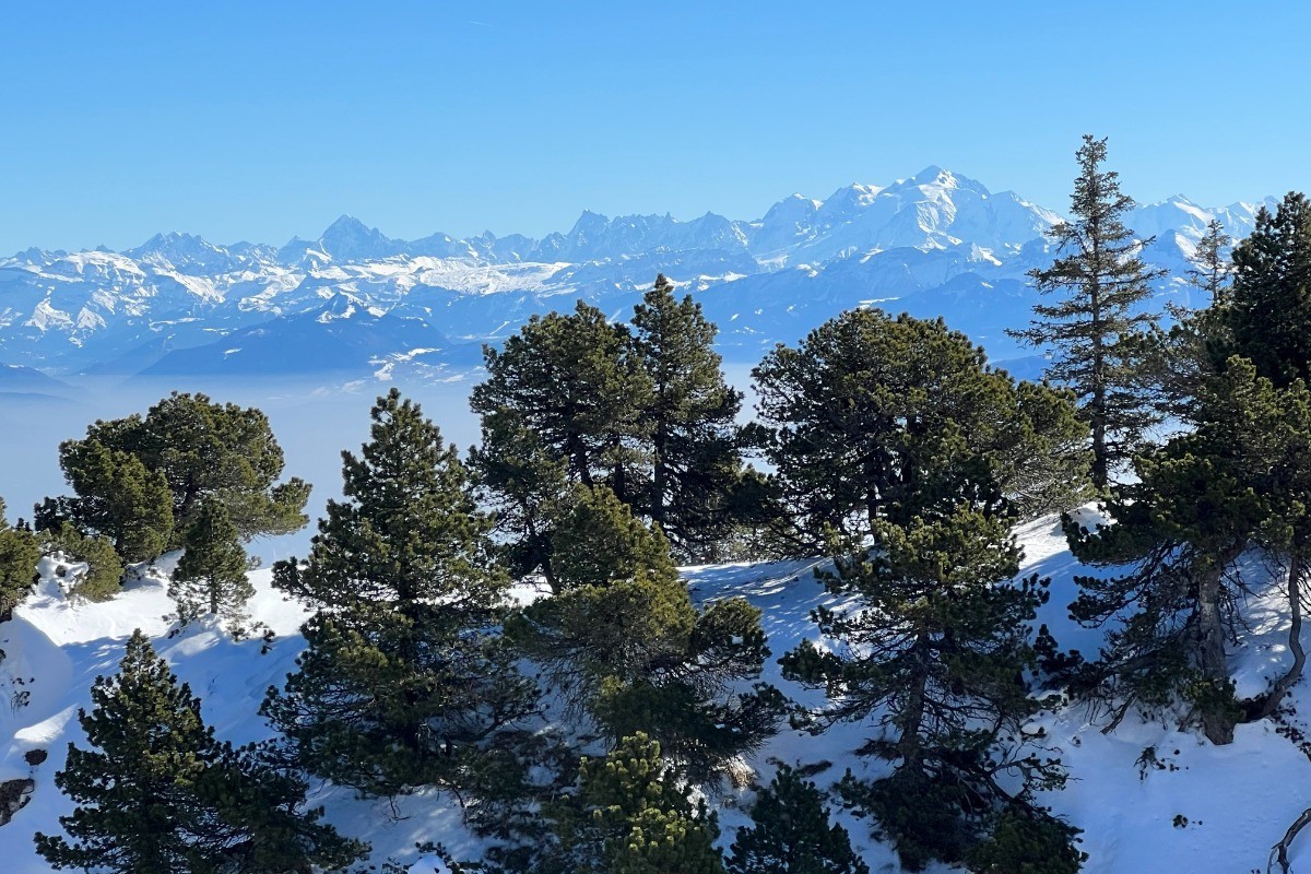 Vue sur les montagnes