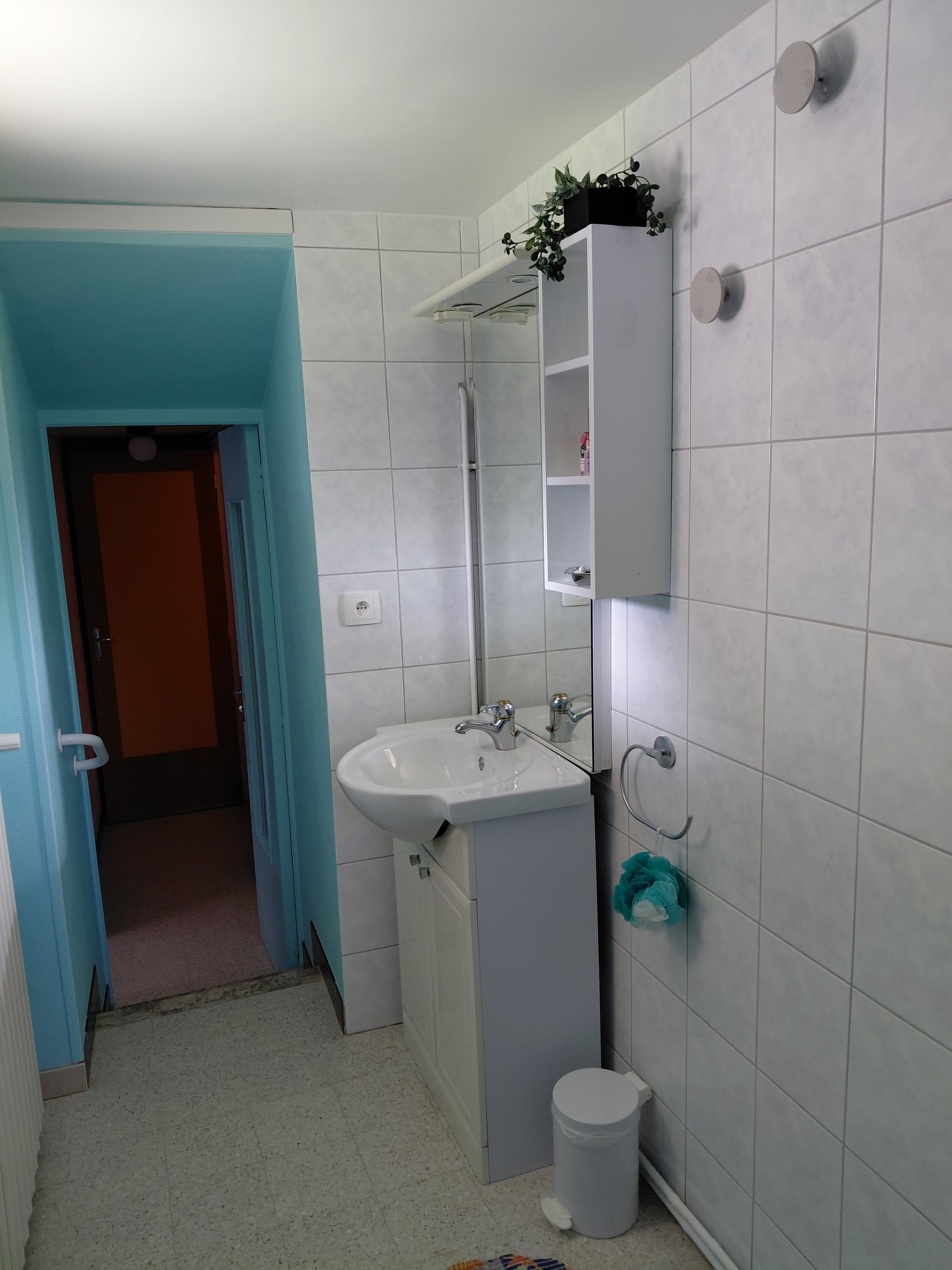 Salle d'eau coin lavabo