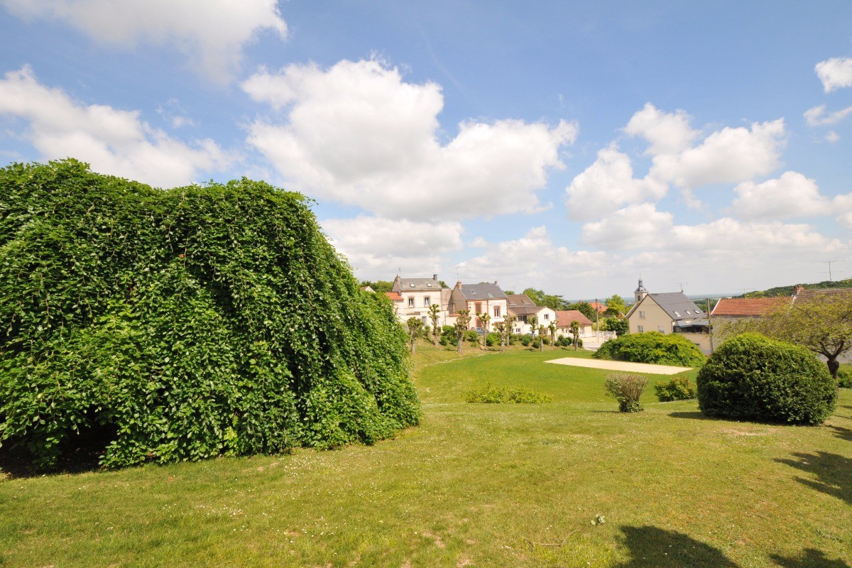 Vue sur VERZY en Champagne