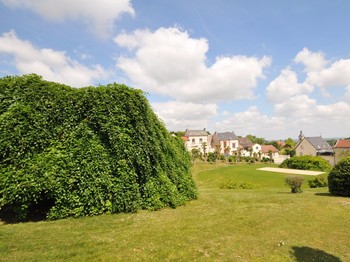 Vue sur VERZY en Champagne