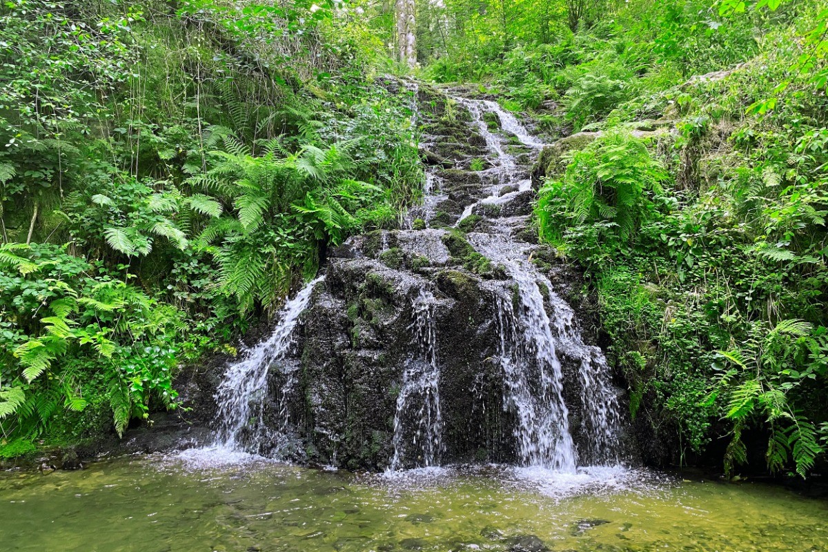 A 5 min en voiture, cascade de Faymont - Chez Maïse