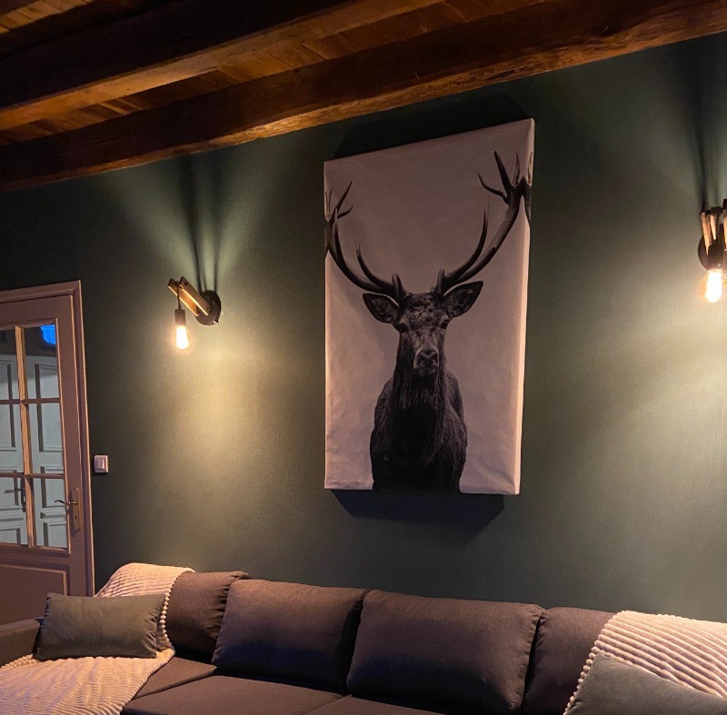 Photo n° 5 de la location