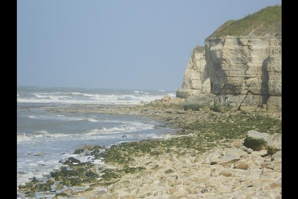 Falaise de Sainte Honorine des Pertes
