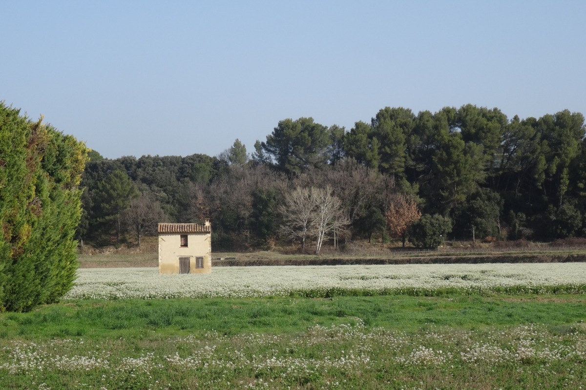Une vue du jardin de la location©MA/Cleva Sud Est
