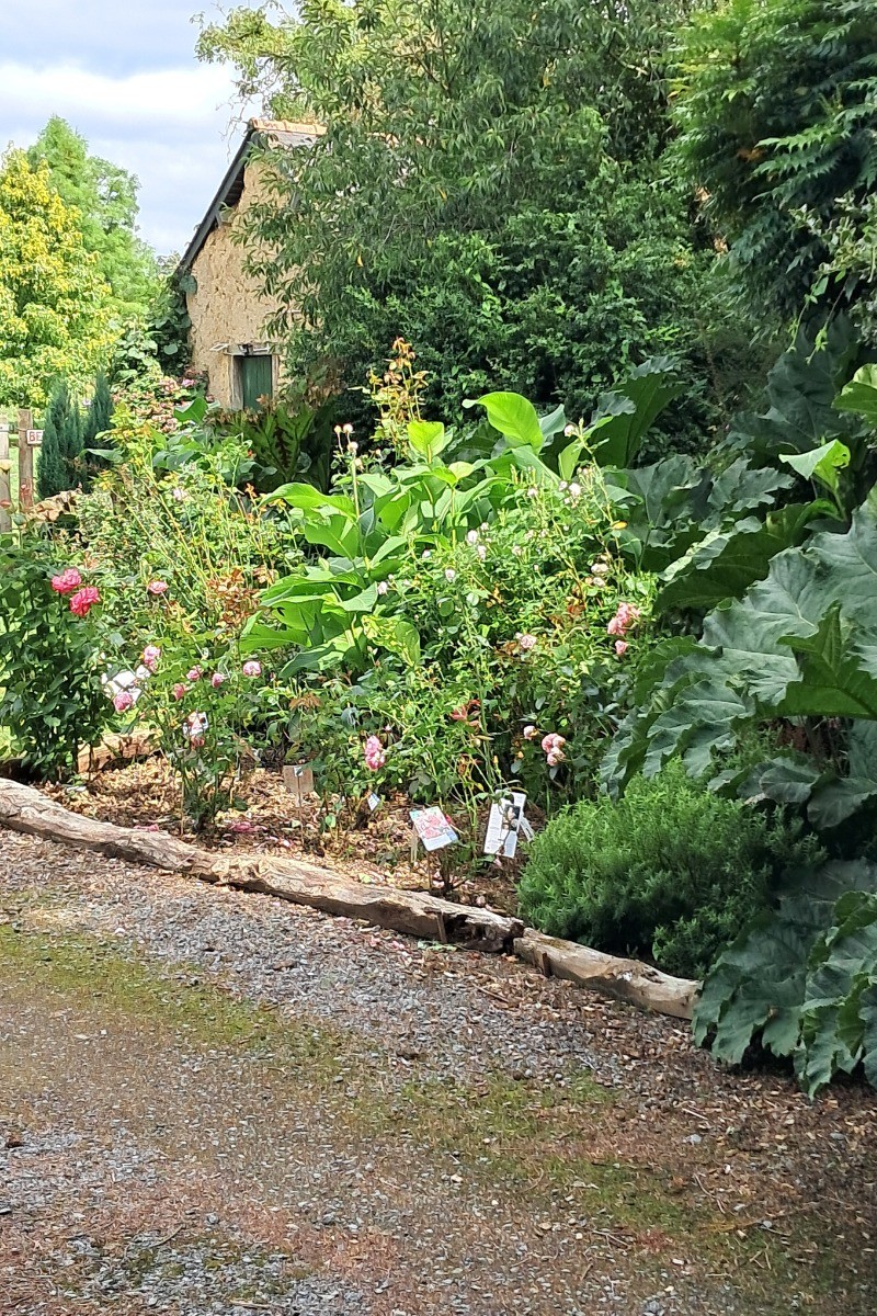 L'arrivée