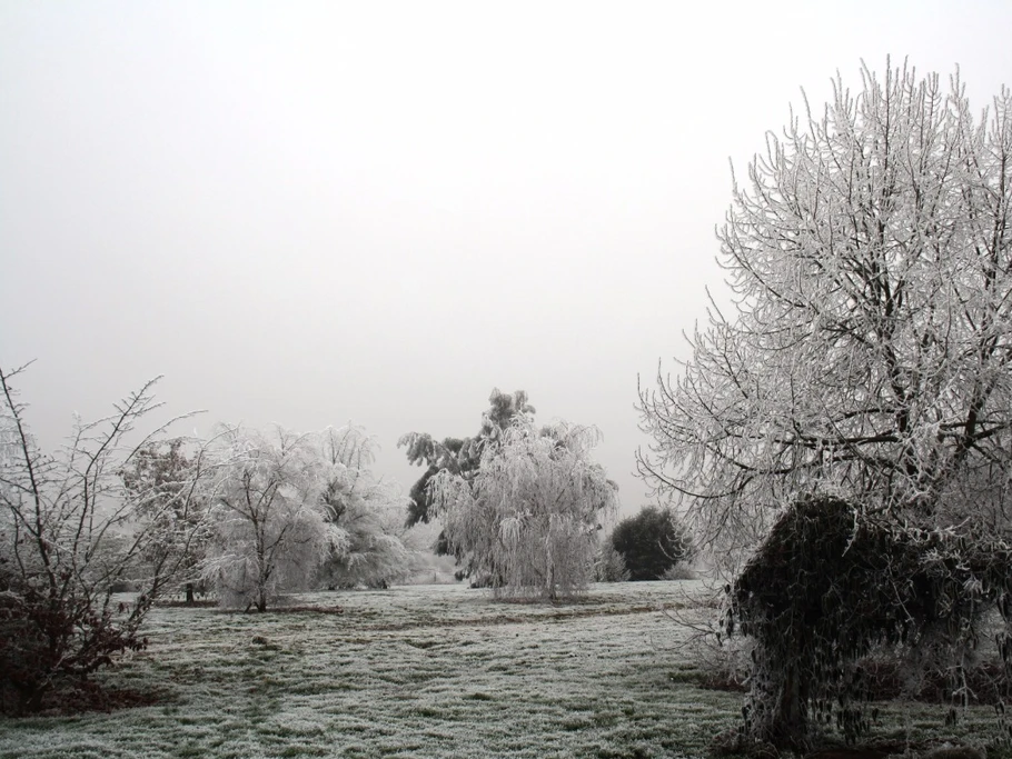 jardin en hiver