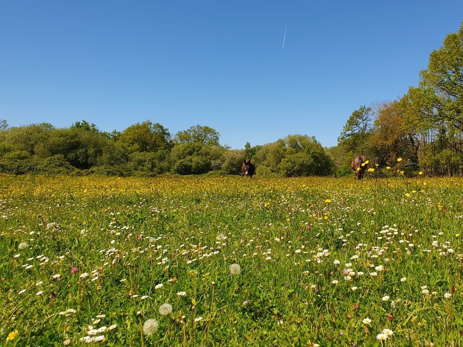 Photo n° 15 of the location