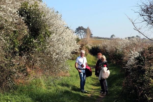 Chemin côtier de randonnée