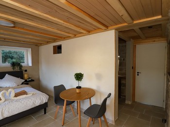 Chambre Pierre, salle d'eau + wc ouvert sur la chambre - L'Hôtel Enfoncée Chambres et Table d'hôtes Le Val d'Ajol