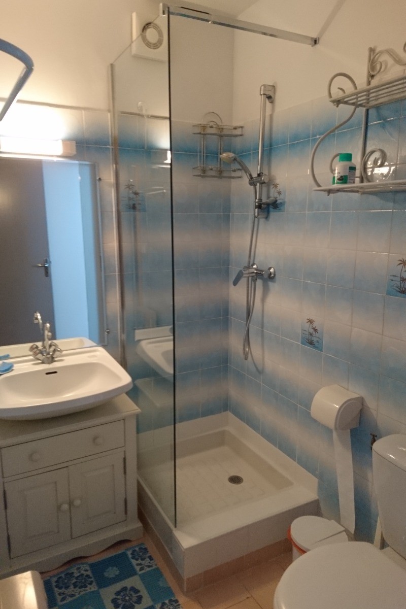 Guy PERSEC: gite Espalion (salle d'eau et WC)