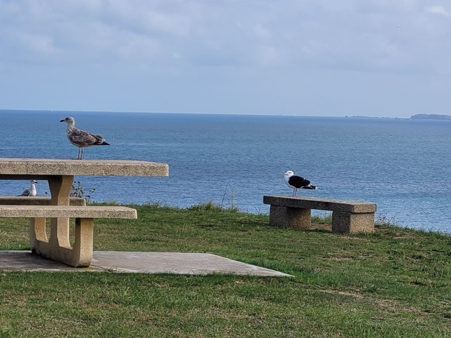 Photo n° 14 of the location