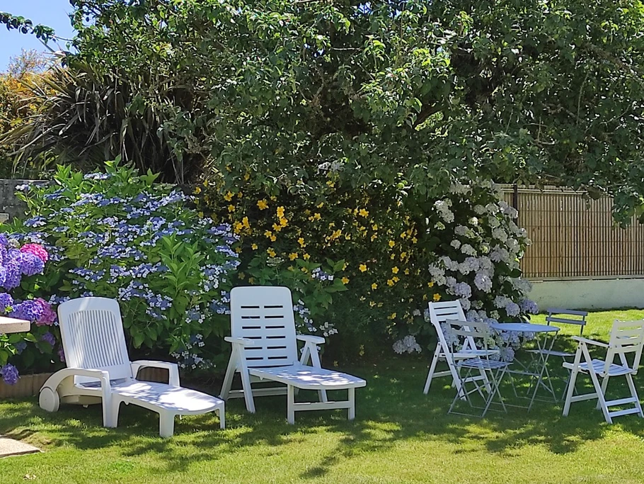 Petit coin à l'ombre sous le pommier