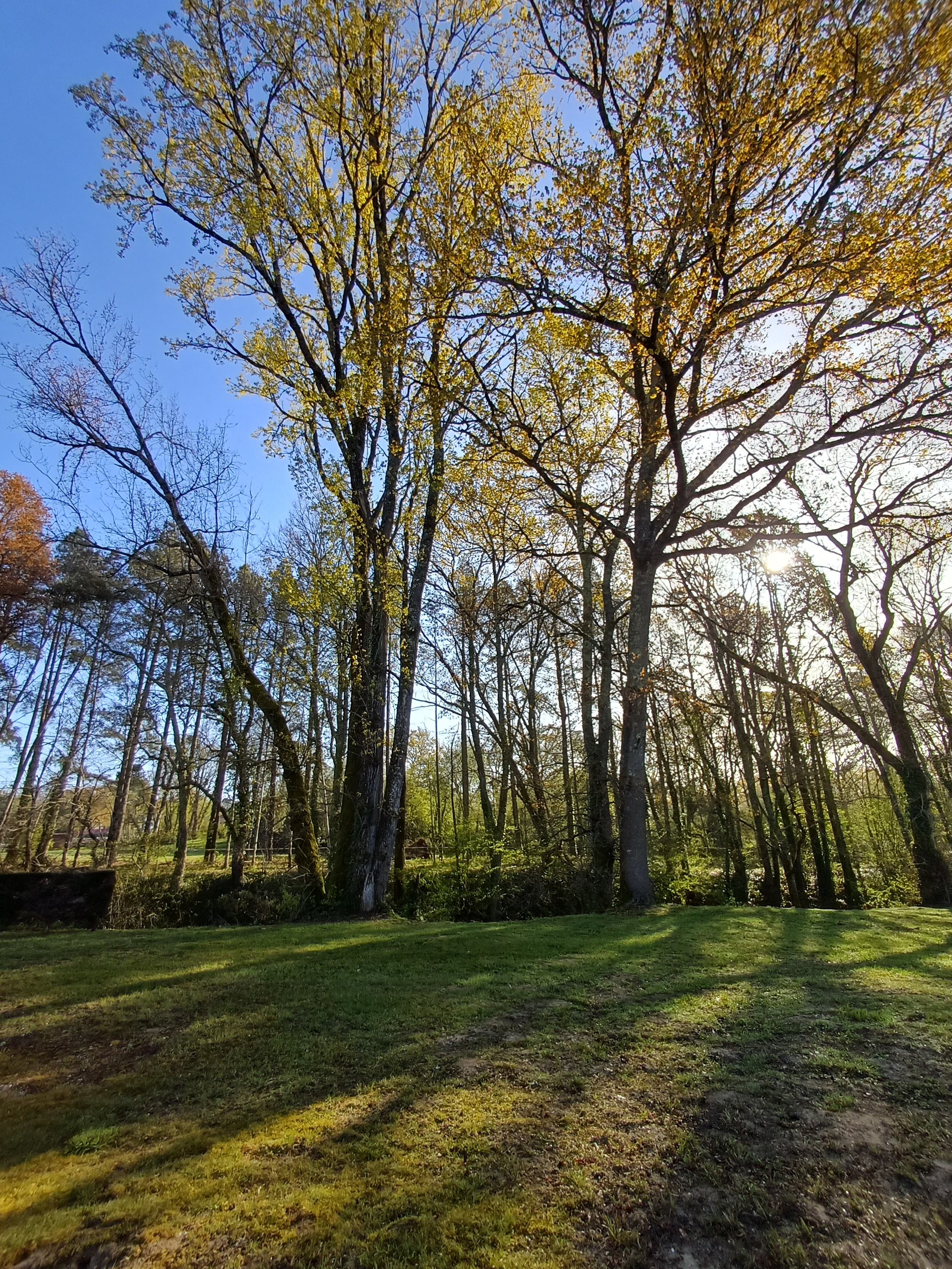 Photo n° 2 of the location