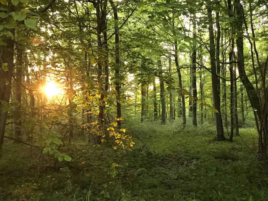 Photo n° 20 of the location